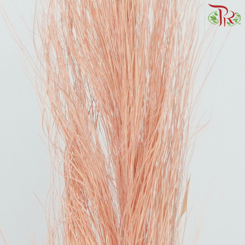 Dry Palm Bleached - Peach (5 Stems)-Pudu Ria Florist-prflorist.com.my