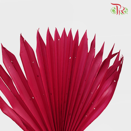 Dry Palm Dark Pink (5 Stems) 90001019-Pink-China-prflorist.com.my