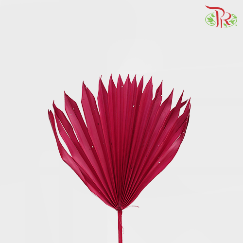 Dry Palm Dark Pink (5 Stems) 90001019-Pink-China-prflorist.com.my