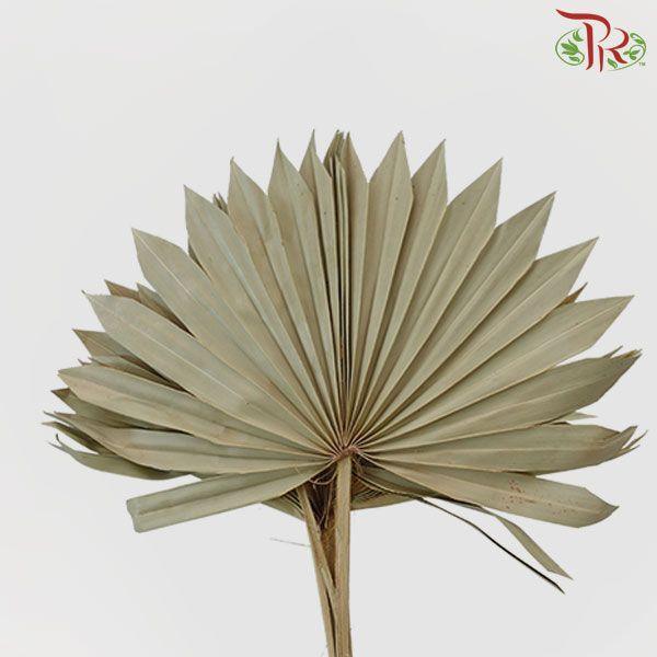 Dry Palm Natural - 5 Stems-Natural-Import-prflorist.com.my