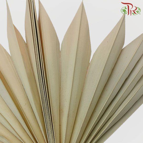 Dry Palm Natural - 5 Stems-Natural-Import-prflorist.com.my