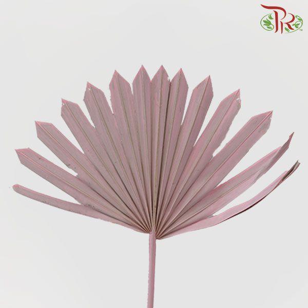 Dry Palm - Pink (5 Stems)-Pink-Import-prflorist.com.my