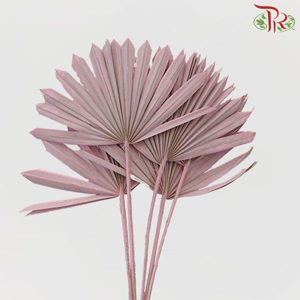 Dry Palm - Pink (5 Stems)-Pink-Import-prflorist.com.my