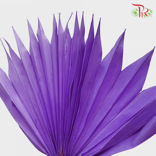 Dry Palm Purple (5 Stems)-Purple-China-prflorist.com.my