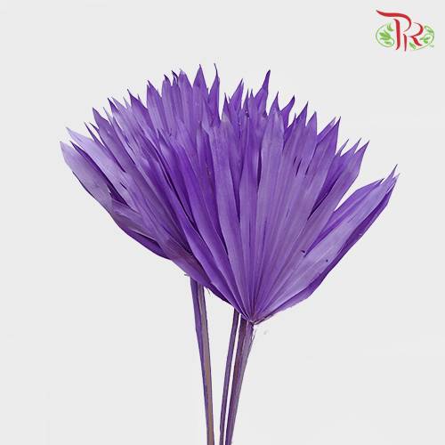 Dry Palm Purple (5 Stems)-Purple-China-prflorist.com.my