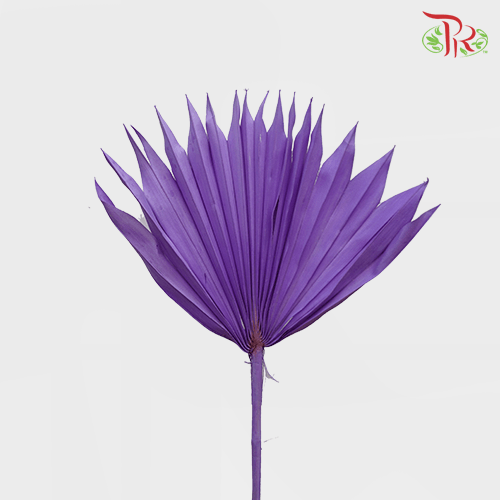 Dry Palm Purple (5 Stems)-Purple-China-prflorist.com.my
