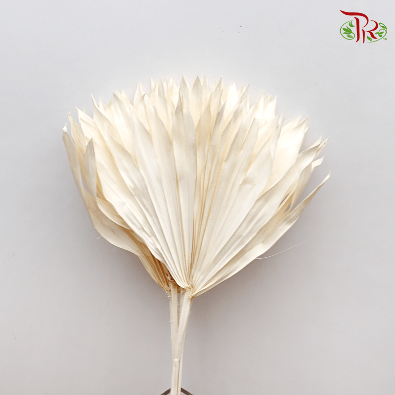 Dry Palm - White (5 Stems)-White-China-prflorist.com.my