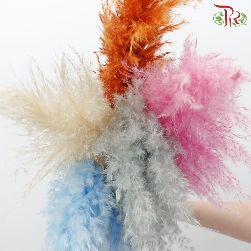 Dry Pampas 100cm - Assorted Colour 01 (5 Stems)-Assorted Colour 01-China-prflorist.com.my