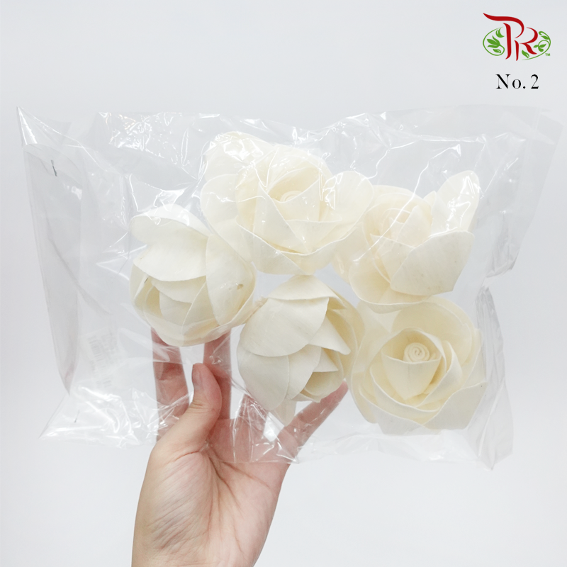 Dry Paper Flower - Without stem (5 pcs)-2-Thailand-prflorist.com.my