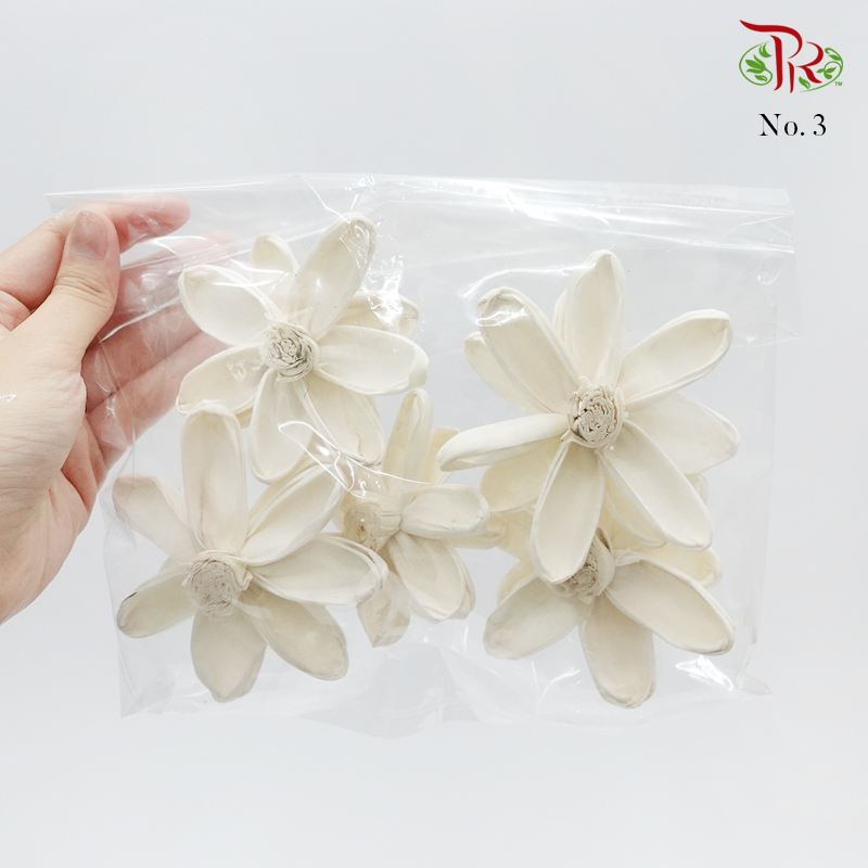 Dry Paper Flower - Without stem (5 pcs)-3-Thailand-prflorist.com.my