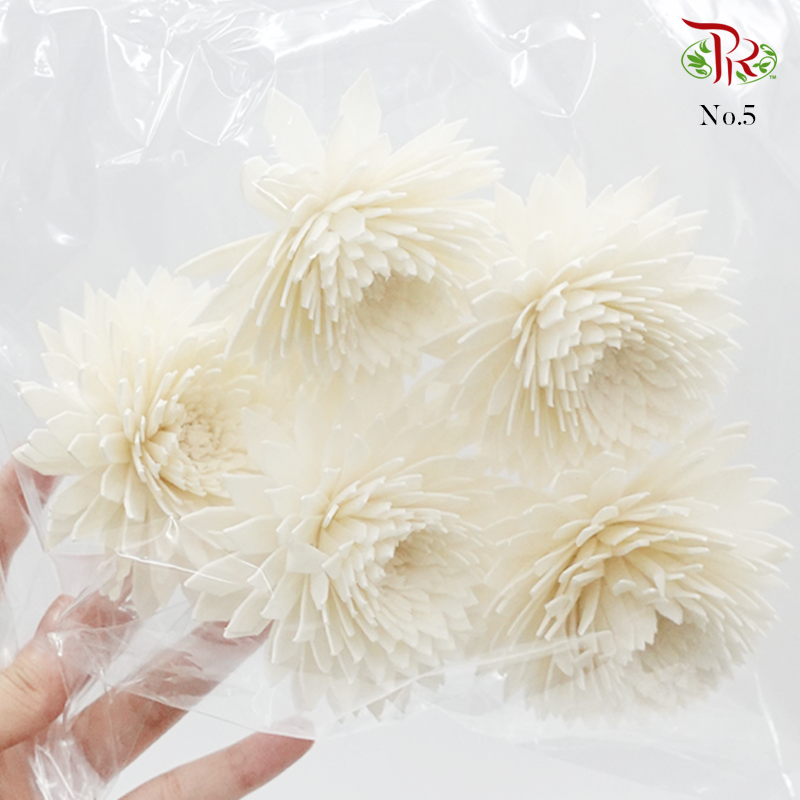 Dry Paper Flower - Without stem (5 pcs)-5-Thailand-prflorist.com.my