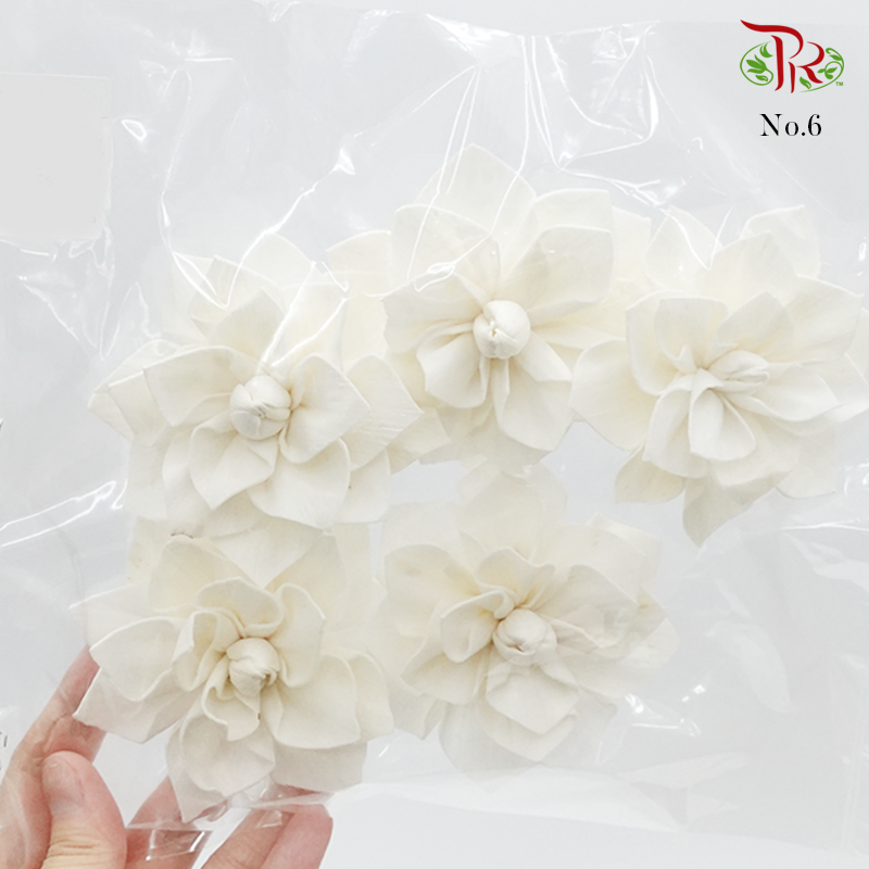 Dry Paper Flower - Without stem (5 pcs)-6-Thailand-prflorist.com.my
