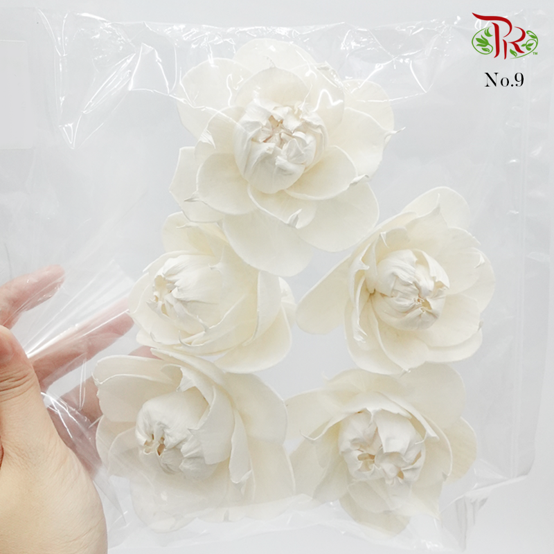 Dry Paper Flower - Without stem (5 pcs)-9-Thailand-prflorist.com.my