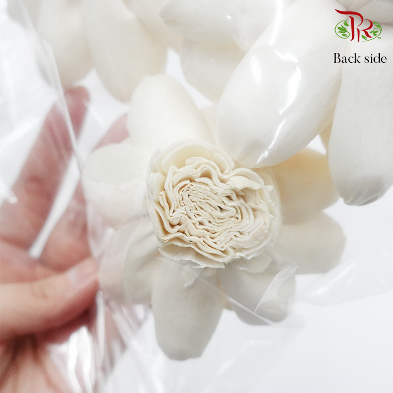 Dry Paper Flower - Without stem (5 pcs)-Thailand-prflorist.com.my