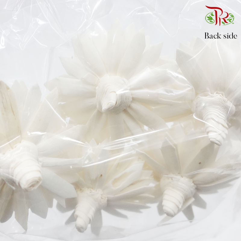 Dry Paper Flower - Without stem (5 pcs)-Thailand-prflorist.com.my