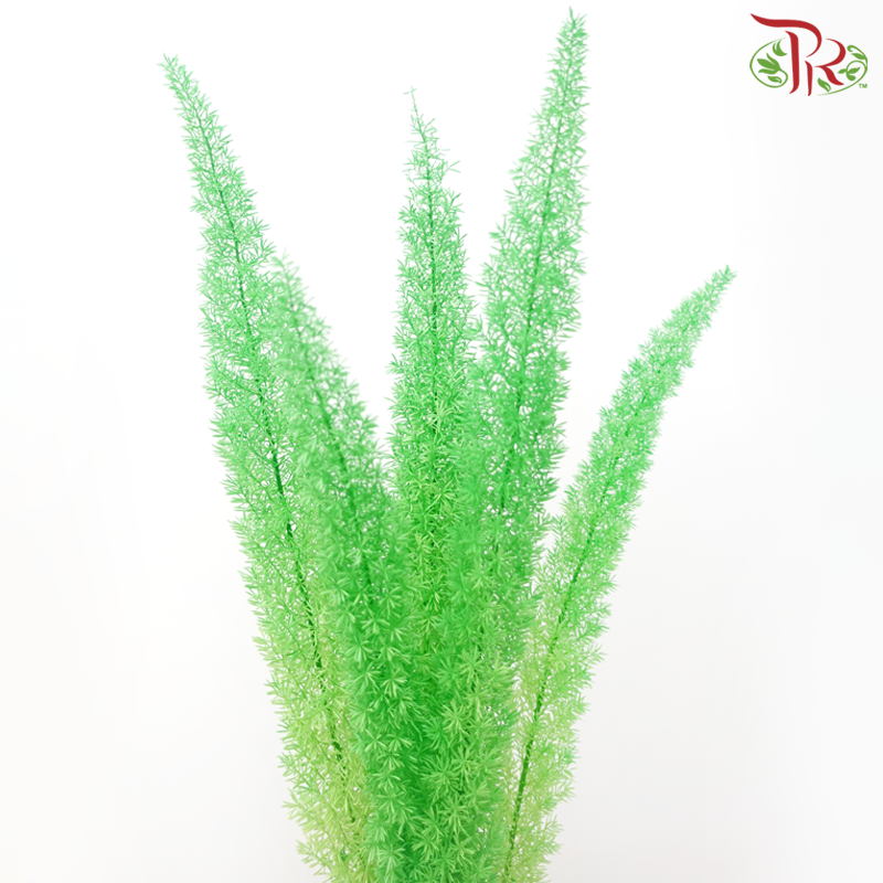 Dry Physalis - Green-Green-China-prflorist.com.my