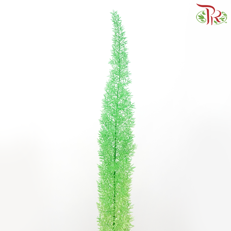 Dry Physalis - Green-Green-China-prflorist.com.my