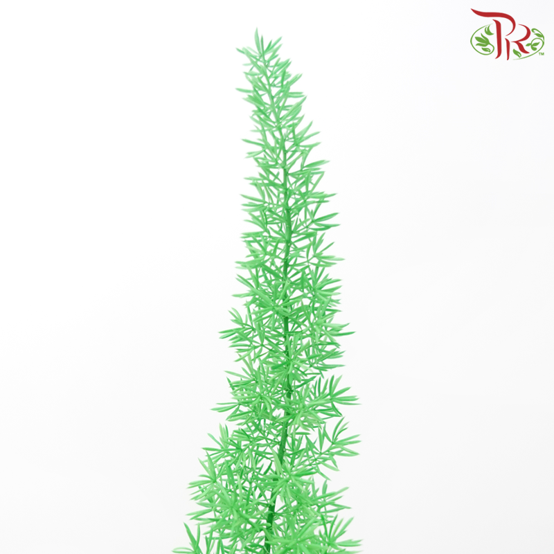 Dry Physalis - Green-Green-China-prflorist.com.my