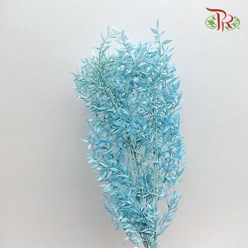 Dry Ruscus Bleached - Blue (5 Stems Per Bundle)-Blue-Italy-prflorist.com.my
