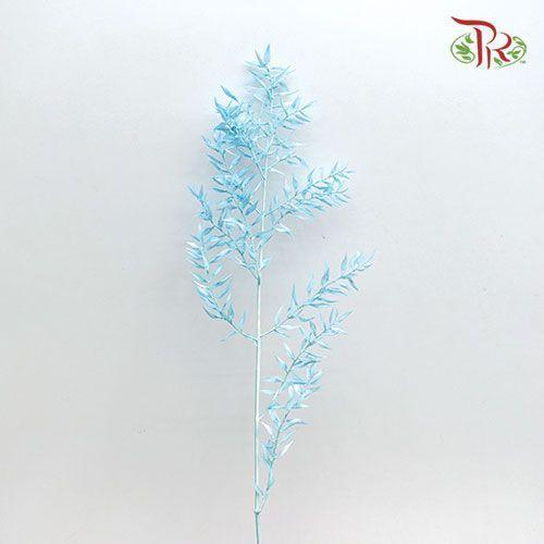 Dry Ruscus Bleached - Blue (5 Stems Per Bundle)-Blue-Italy-prflorist.com.my