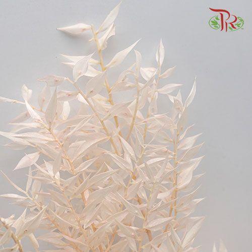 Dry Ruscus Bleached - Light Pink (5 Stems Per Bundle)-Pink-Italy-prflorist.com.my