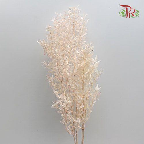 Dry Ruscus Bleached - Light Pink (5 Stems Per Bundle)-Pink-Italy-prflorist.com.my