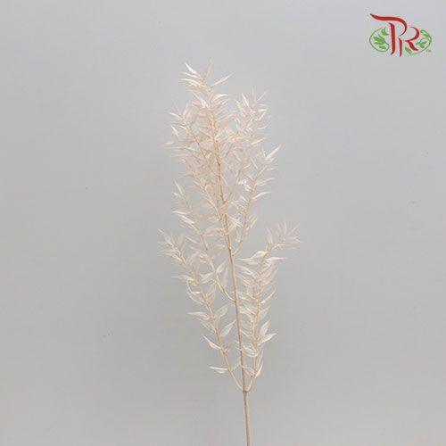 Dry Ruscus Bleached - Light Pink (5 Stems Per Bundle)-Pink-Italy-prflorist.com.my