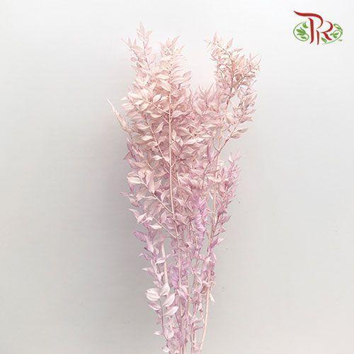 Dry Ruscus Bleached -Pink-Pink-China-prflorist.com.my