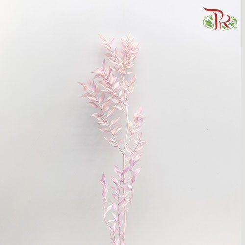 Dry Ruscus Bleached -Pink-Pink-China-prflorist.com.my