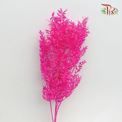 Dry Ruscus Bleached - Pink-Pink-Italy-prflorist.com.my