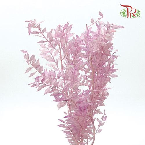 Dry Ruscus Colour - Lilac (5 Stems Per Bundle)-Lilac-Italy-prflorist.com.my