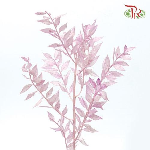 Dry Ruscus Colour - Lilac (5 Stems Per Bundle)-Lilac-Italy-prflorist.com.my