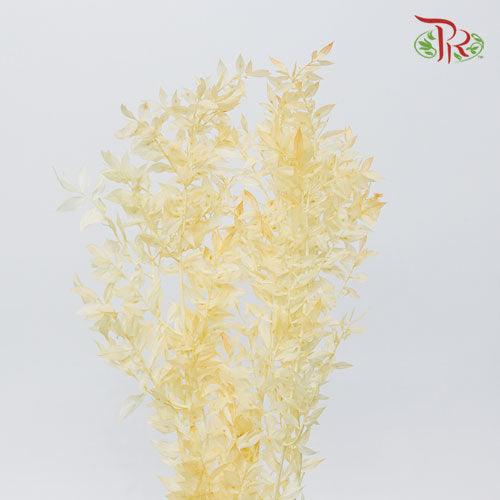 Dry Ruscus Colour - Orange-Orange-Italy-prflorist.com.my