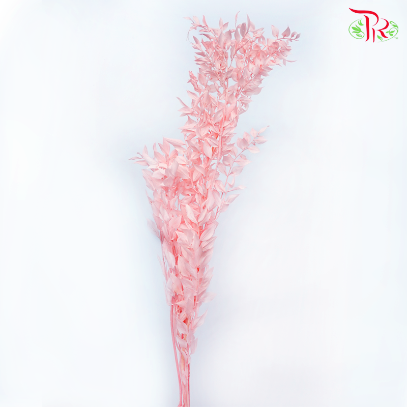 Dry Ruscus Dyed Colour - Baby Pink-Baby Pink-China-prflorist.com.my