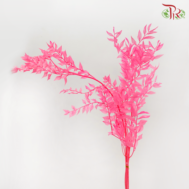 Dry Ruscus - Neon Pink (Per Bunch)-Neon Pink-China-prflorist.com.my