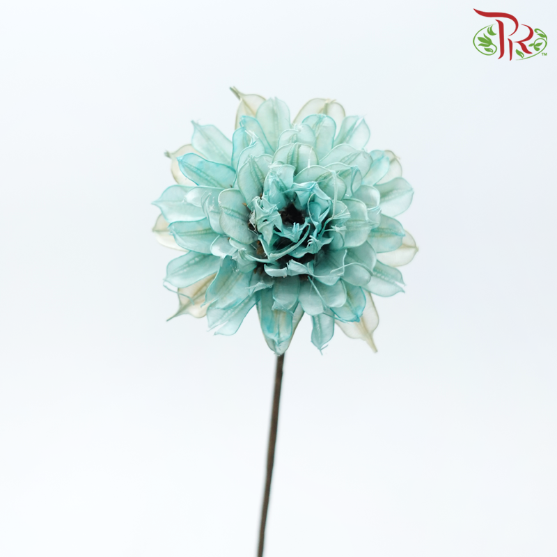 Dry Small Liju - Light Turquoise (5 Stems)-Light Turquoise-China-prflorist.com.my
