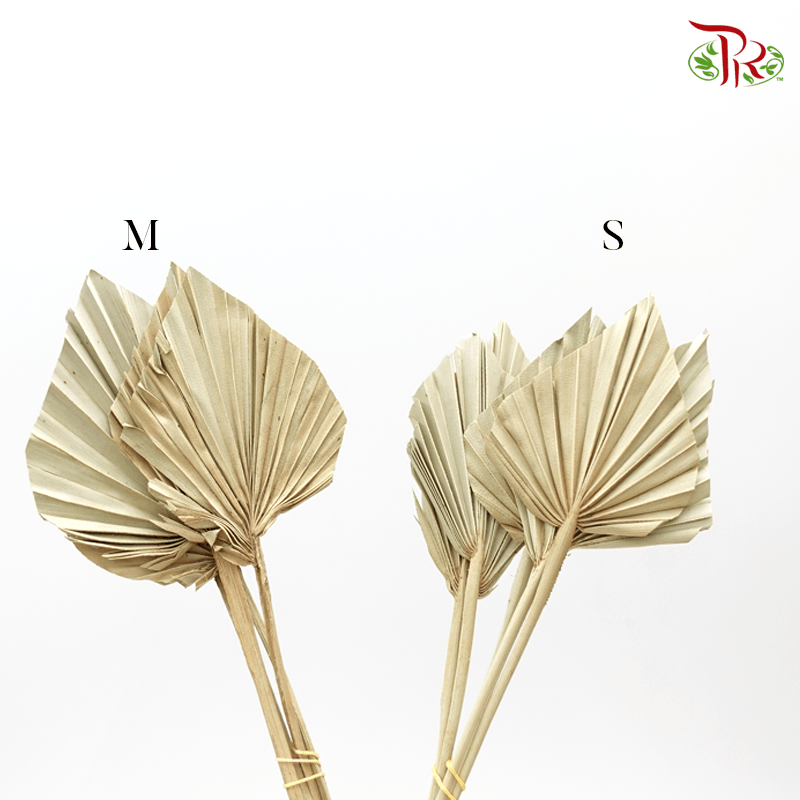 Dry Spear Palm Natural (M/S size) 5 Stems-Pudu Ria Florist-prflorist.com.my