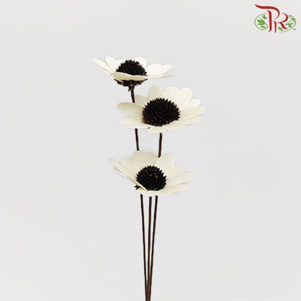 Dry Stella Luna - (3 Stems)-White-China-prflorist.com.my