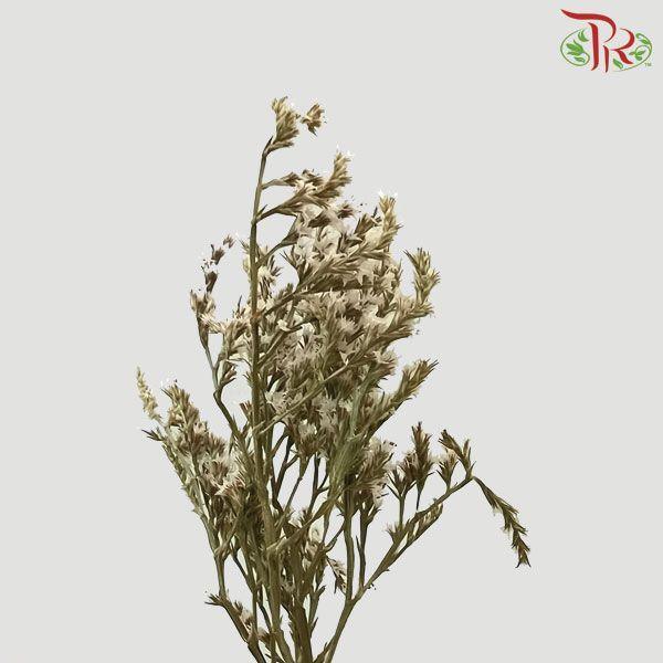 Dry Tartarica - White-White-Italy-prflorist.com.my