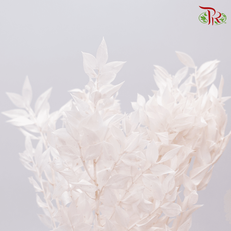 Dry Ruscus - Light Pink - Pudu Ria Florist