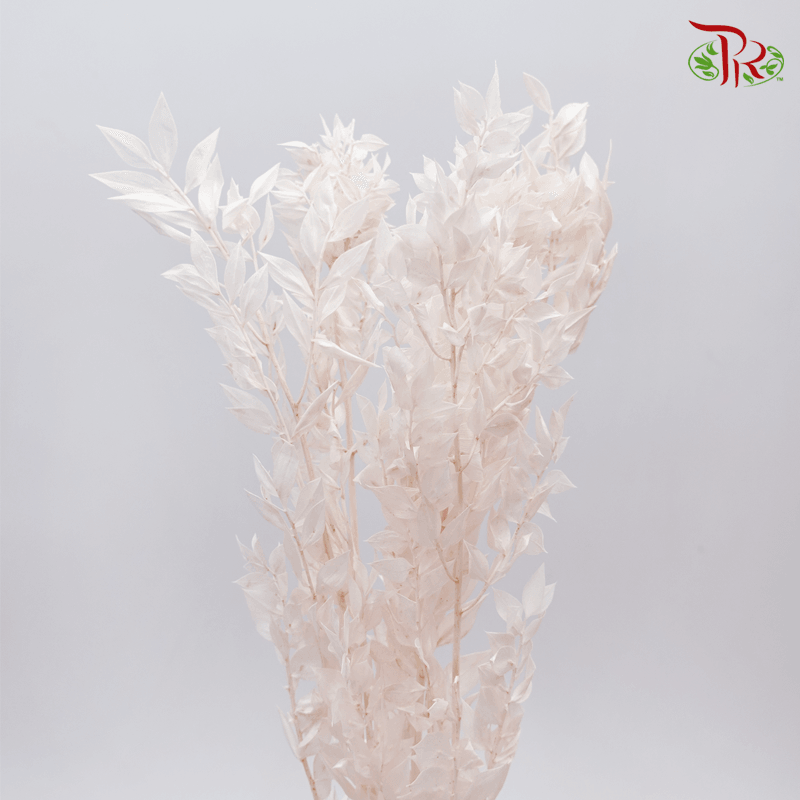 Dry Ruscus - Light Pink - Pudu Ria Florist