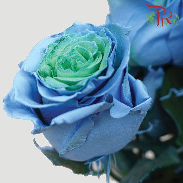 Ceres Rose - Green & Light Blue (10 Stems) - Pudu Ria Florist