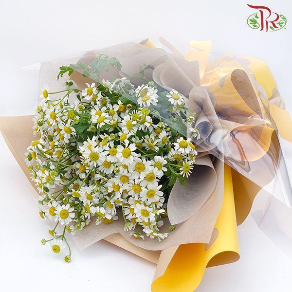 Designer Series - 6 - Pudu Ria Florist