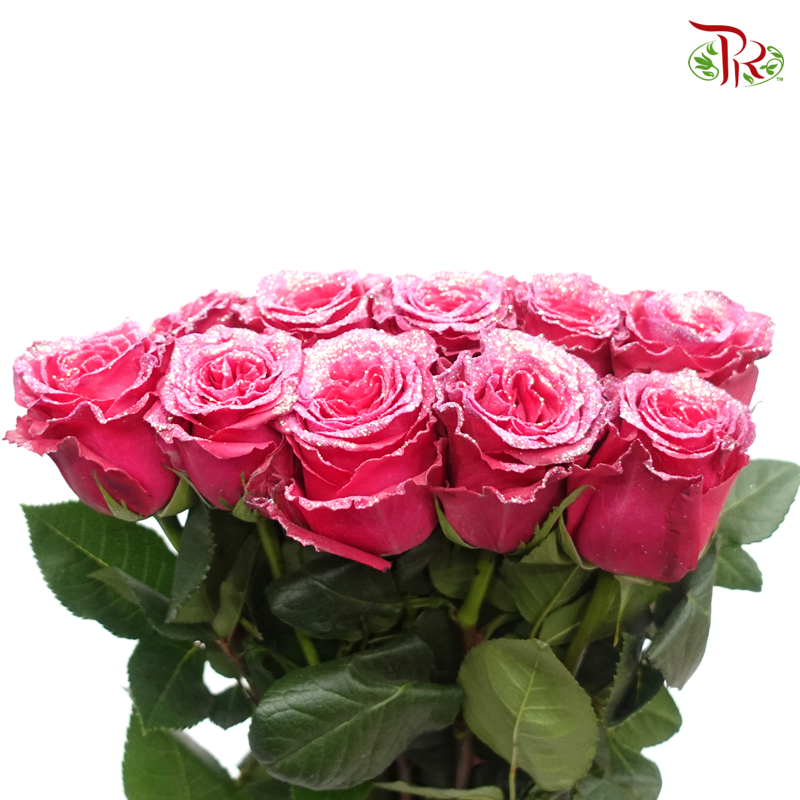 Ceres Rose - Strawberry Gloss (10 Stems) - Pudu Ria Florist