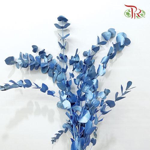Eucalyptus Dyed Metal Preservatives - Blue-Blue-Italy-prflorist.com.my