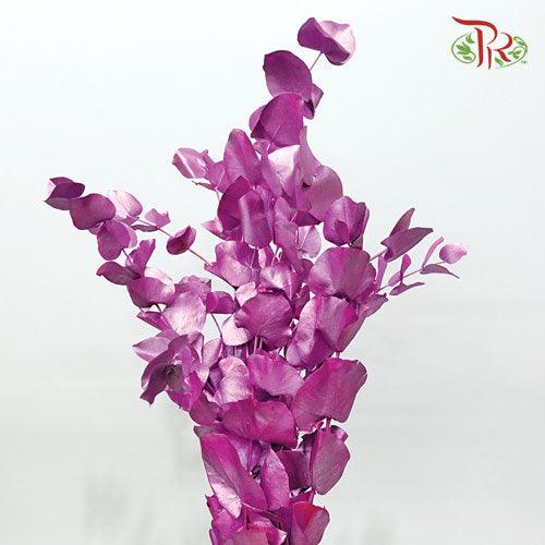 Eucalyptus Dyed Metal Preservatives - Purple-Purple-Italy-prflorist.com.my