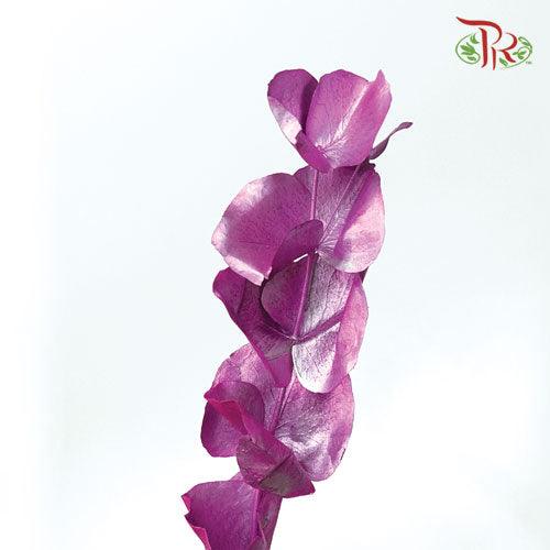 Eucalyptus Dyed Metal Preservatives - Purple-Purple-Italy-prflorist.com.my