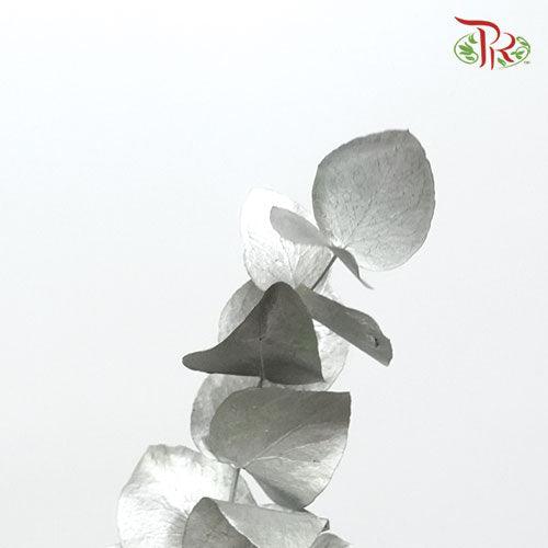 Eucalyptus Dyed Metal Preservatives - Silver-Silver-Italy-prflorist.com.my
