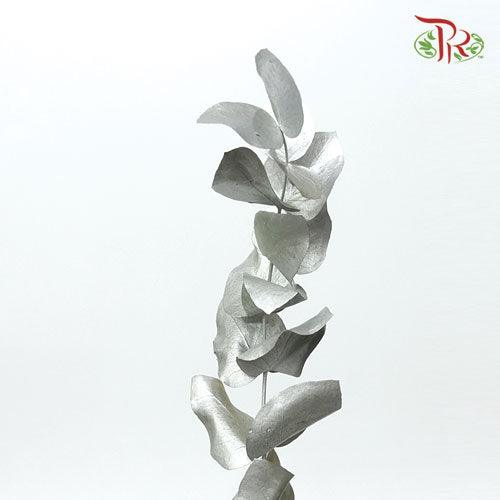 Eucalyptus Dyed Metal Preservatives - Silver-Silver-Italy-prflorist.com.my
