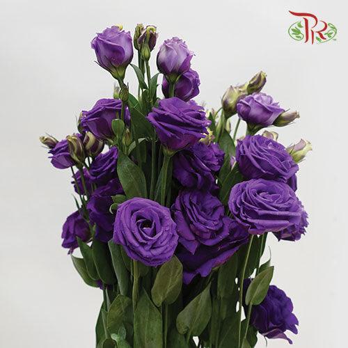 Eustoma Bohemian Violet - (10 Stems)-Purple-Taiwan-prflorist.com.my